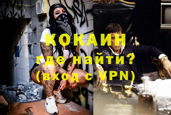 стаф Елизово