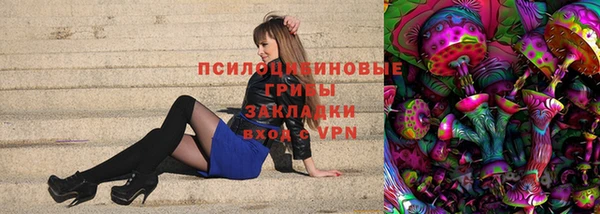 стаф Елизово