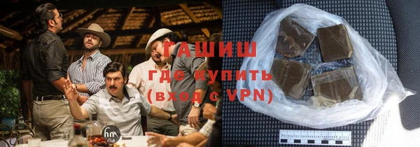тгк Ельня