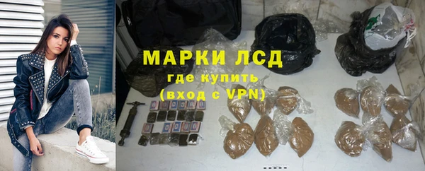 стаф Елизово
