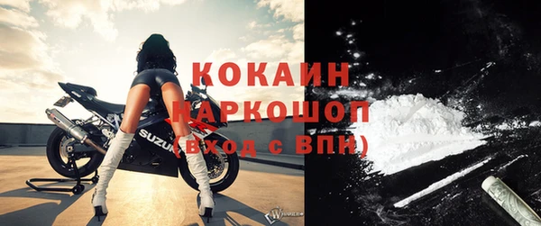 тгк Ельня