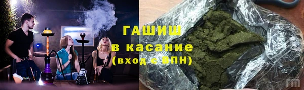 тгк Ельня